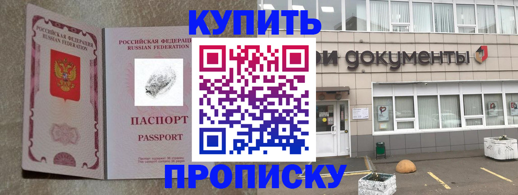 временная регистрация гарантия в Павловске
